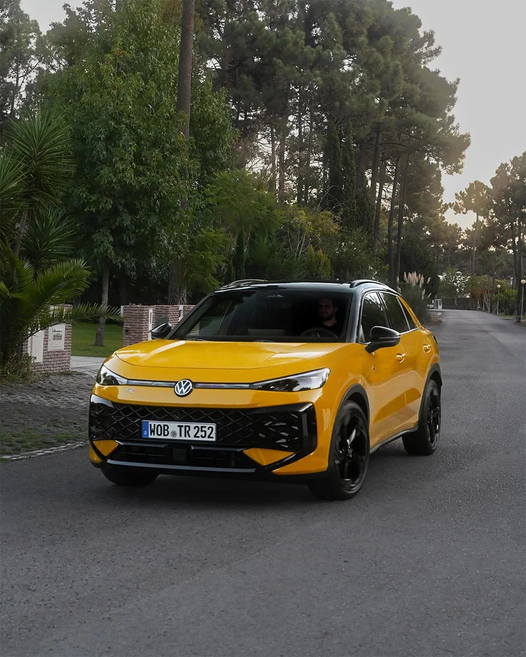 T-Roc